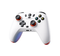 GameSir Nova Lite multi-platform gaming controller with ergonomic design and responsive buttons, suitable for various gaming consoles.